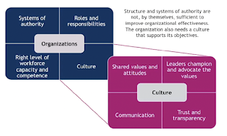 Dimensione 1: organisations and people